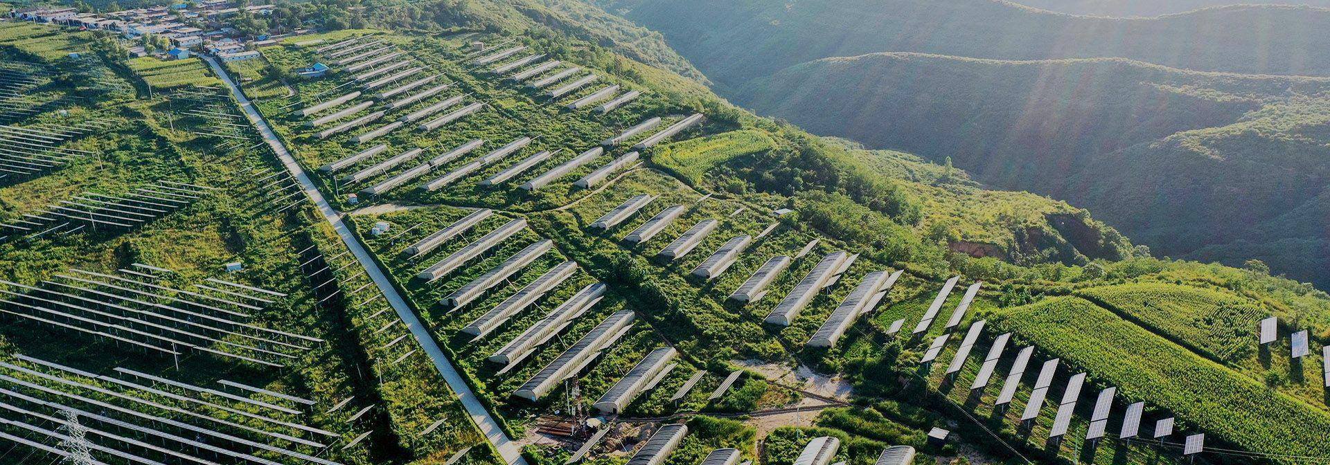 联系乐鱼（中国）leyu·官方网站